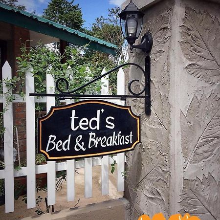 Ted'S Bed And Breakfast Santa Cruz  ภายนอก รูปภาพ
